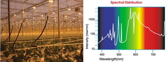 一體化內反射型植物生長燈案例實拍和光譜圖